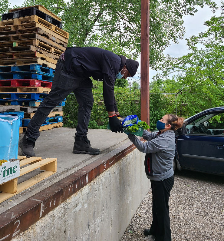 a man on a loading dock hands a box of produce down to a woman in the driveway